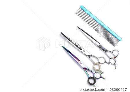 Groomer tool. Set of various combs and scissors for pet hair care on a white background. Groomer tool. Set of various combs and scissors for pet hair care on a white background. 98060427