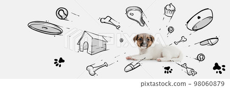 Little cute puppy dreaming about toys, bones, food, and new house. Collage with drawings, doodles. Animal, art, creativity concept. Banner Little cute puppy dreaming about toys, bones, food, and new house. Collage with drawings, doodles. Animal, art, creativity concept. Banner 98060879