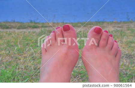Female feet with red pedicure on grass with water background Female feet with red pedicure on grass with water background 98061564