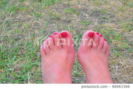 Female feet with red pedicure on grass Female feet with red pedicure on grass 98061566