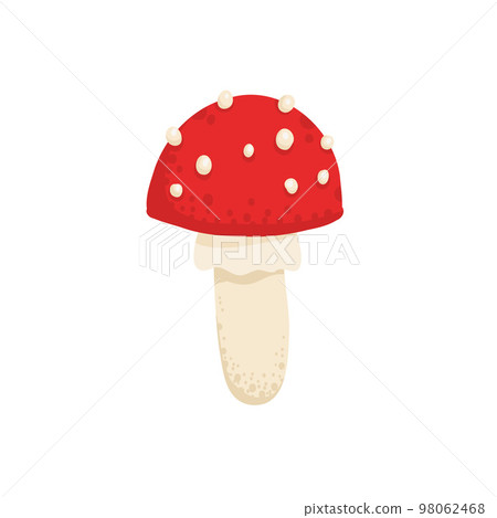 Amanita or fly agaric isolated on white background. Cute mushroom with red cape and spots. Hand drawn colored flat textured vector illustration 98062468