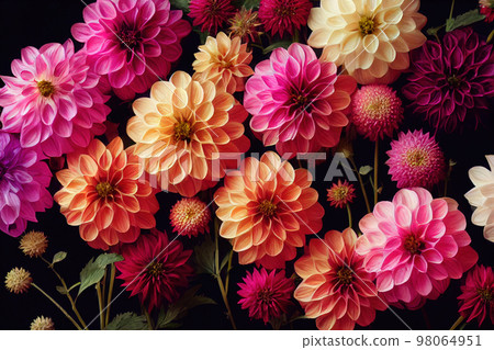Dahlia flower banquet beautiful spectacular flower arrangement background 98064951