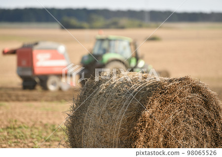 A tractor cleans the field with flax and makes bales A tractor cleans the field with flax and makes bales 98065526