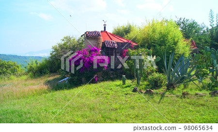 small house in the middle of the countryside, stone house, with tile roof, around cactus, flowers and vegetation, small house in the middle of the countryside, stone house, with tile roof, around cactus, flowers and vegetation, 98065634
