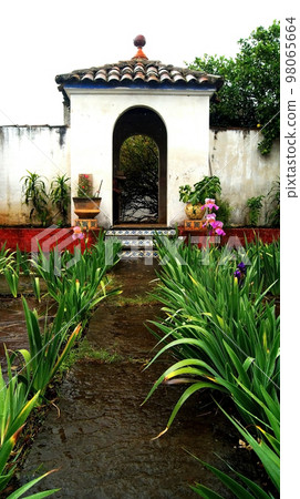 entrance to an old mexican house, with a path of plants, arched entrance, tiles and vegetation, mexico 98065664