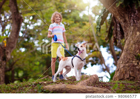 Child and dog walk in summer park 98066577