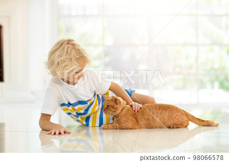 Child feeding home cat. Kids and pets. Child feeding home cat. Kids and pets. 98066578