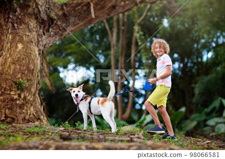 Child and dog walk in summer park 98066581