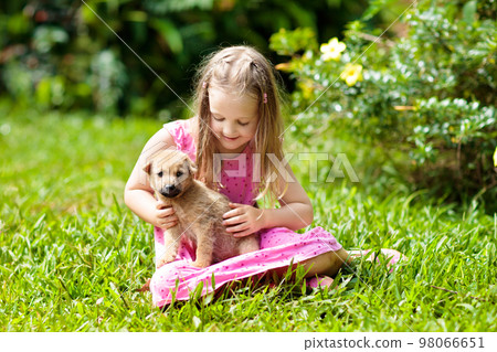 Kids play with puppy. Children and dog in garden. 98066651