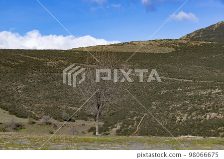 Mountains. Green mountains in the municipality of El Atazar, north of the Community of Madrid. Sunny day with air and clouds decorating the sky. Iron decoration on the green grass. Farmer. Donkey. 98066675