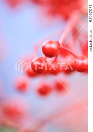 萬兩0020 萬兩0020 98067071