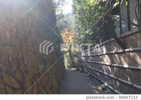 Scenery with crepuscular rays, stone walls, bamboo fences, forests of trees and narrow roads (alleys) between buildings 98067132