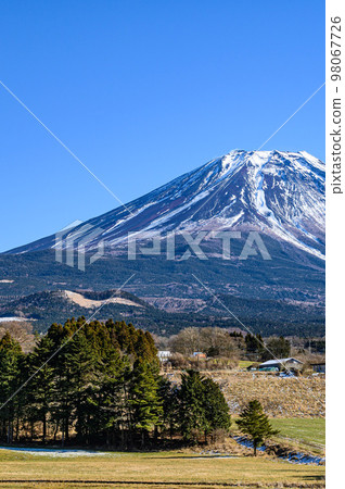 富士金的田園風光和富士山的絕景/田園小鎮 富士金的田園風光和富士山的絕景/田園小鎮 98067726