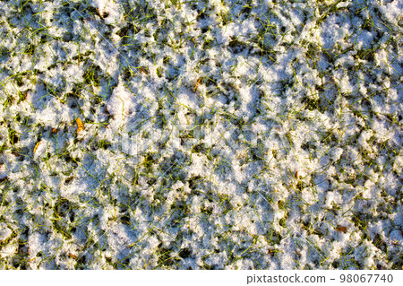 Grass covered with snow in a frosty sunny day background photo. Grass covered with snow in a frosty sunny day background photo. 98067740