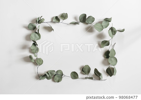 Minimal floral frame made of dry eucalyptus tree leaves and branches. Green rectangular wreath isolated on white table background. Natural composition, decor. Flat lay, top view. No people. Web banner 98068477