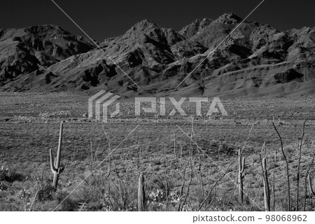 Catalina Mountains Tucson Arizona 98068962