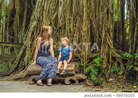 Mom and son travelers discovering Ubud forest in Monkey forest, Bali Indonesia. Traveling with children concept 98070103