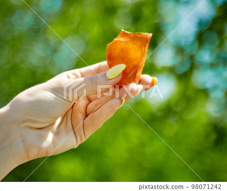 amber fossil resin amber fossil resin 98071242