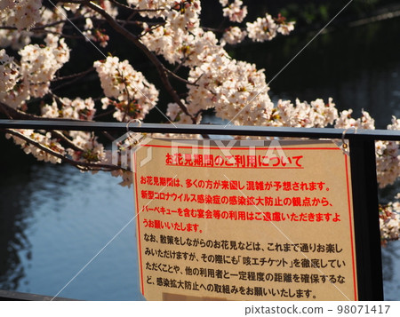 Cherry-blossom viewing warning sign Cherry-blossom viewing warning sign 98071417