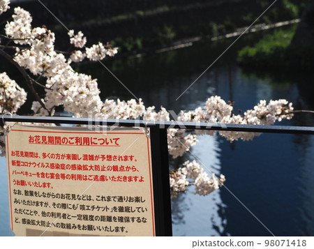 Cherry-blossom viewing warning sign Cherry-blossom viewing warning sign 98071418