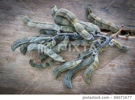 Mucuna Pruriens on wooden background, dry bean Mucuna Pruriens 98071677