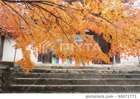 Kyoto Sagano Nison-in temple in the rain Kyoto Sagano Nison-in temple in the rain 98071771