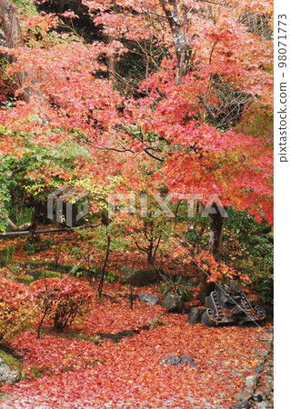 Kyoto Sagano Nison-in Temple Rain Garden 98071773