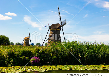 Summer landscape with a view of windmills in Kinderdijk 98071789