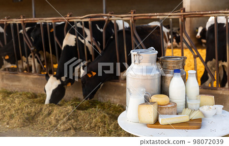 Image of dairy products on the farm Image of dairy products on the farm 98072039
