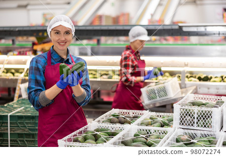 Woman in uniform during sorting at warehouse at avocado factory Woman in uniform during sorting at warehouse at avocado factory 98072274