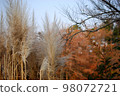 ears of winter 98072721