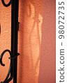 shadow of iron door 98072735