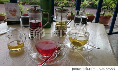 香草茶 香草茶 98072995