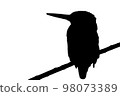 jade silhouette 98073389