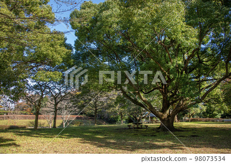 神奈川縣藤澤市大羽市大羽城跡公園城山 98073534