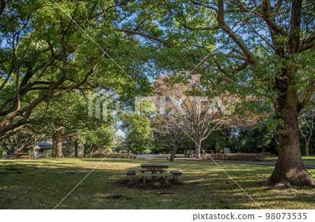 神奈川縣藤澤市大羽市大羽城跡公園城山 98073535