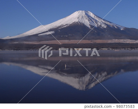 Lake Yamanaka upside down Mt.Fuji and waterfowl 98073583