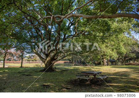 神奈川縣藤澤市大羽城跡公園大羽城山 神奈川縣藤澤市大羽城跡公園大羽城山 98073806