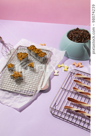 creative concept photo of healthy pet dog food and treats creative concept photo of healthy pet dog food and treats 98074239