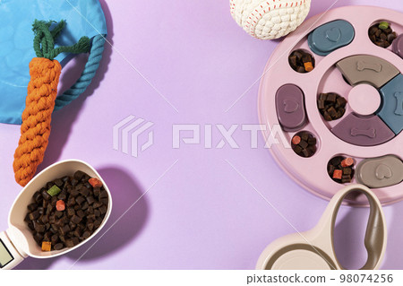 creative concept photo of healthy pet dog food and treats creative concept photo of healthy pet dog food and treats 98074256