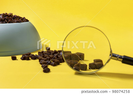creative concept photo of healthy pet dog food and treats creative concept photo of healthy pet dog food and treats 98074258