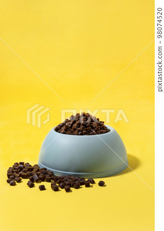 creative concept photo of healthy pet dog food and treats creative concept photo of healthy pet dog food and treats 98074520