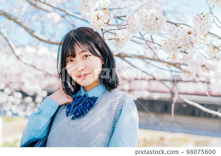 Cherry blossoms and high school students Cherry blossoms and high school students 98075600