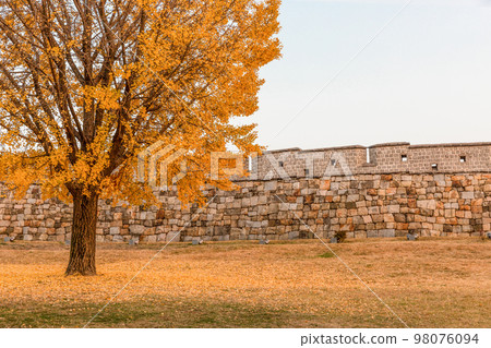 autumn landscape, scenery of Suwon Hwaseong in Korea 98076094