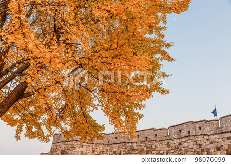 autumn landscape, scenery of Suwon Hwaseong in Korea 98076099