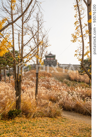 autumn landscape, scenery of Suwon Hwaseong in Korea 98076100