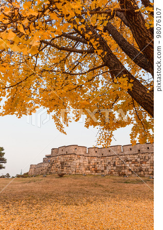autumn landscape, scenery of Suwon Hwaseong in Korea 98076107