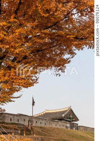 autumn landscape, scenery of Suwon Hwaseong in Korea 98076124