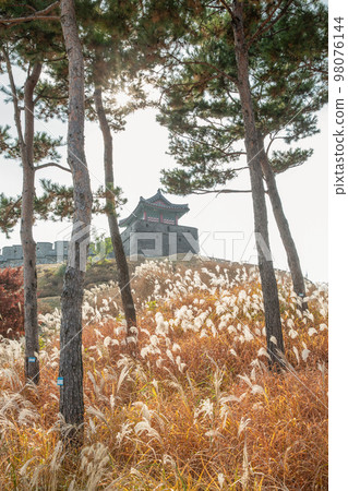 autumn landscape, scenery of Suwon Hwaseong in Korea 98076144