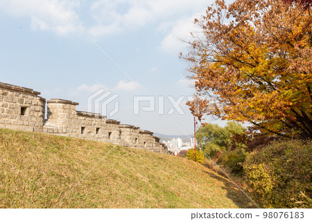 autumn landscape, scenery of Suwon Hwaseong in Korea 98076183
